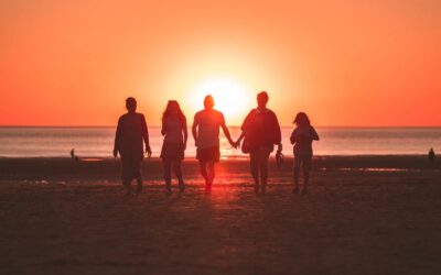 The family system