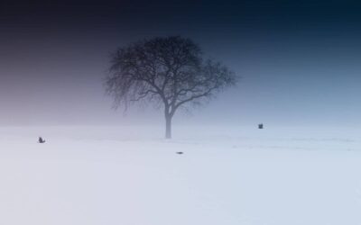Stillbirth