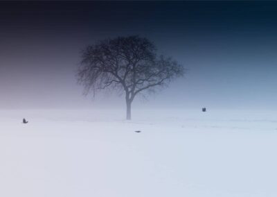 Stillbirth