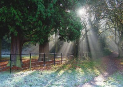 Ways to stay healthy during winter