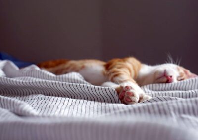 Sleep hygiene
