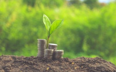 Financial wellbeing: first steps