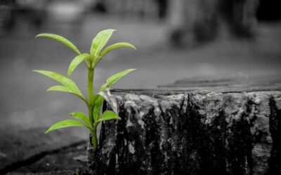 Practical ways to build resilience