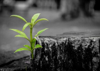 Practical ways to build resilience