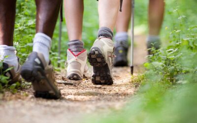 Walking for your wellbeing