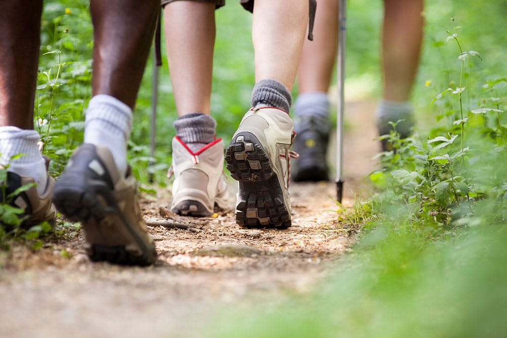 Walking-for-wellbeing_1000x667_04.23 Walking for your wellbeing