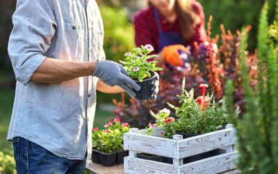 How nature supports our wellbeing