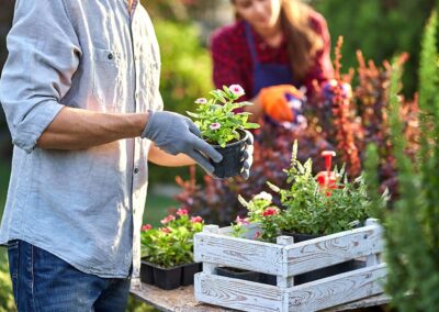 How nature supports our wellbeing