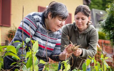 Supporting carers in the workplace