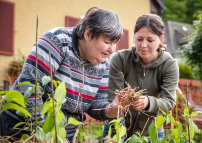 Supporting carers in the workplace